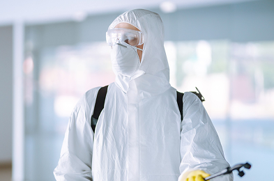 Mold removal professional